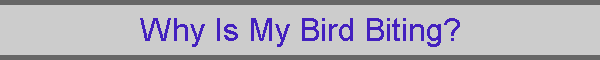 Why Is My Bird Biting?