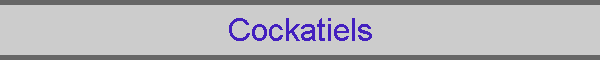 Cockatiels